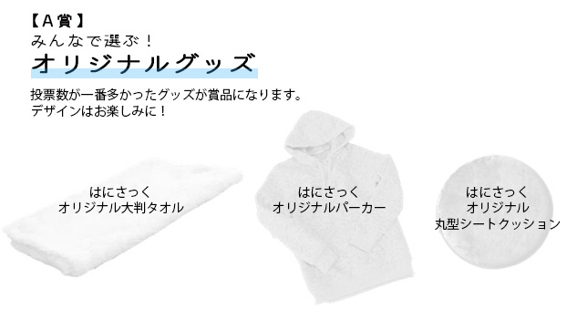 キャンペーンの賞品（A賞）説明画像。