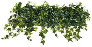 専用グリーン2種類のうちの1つ。